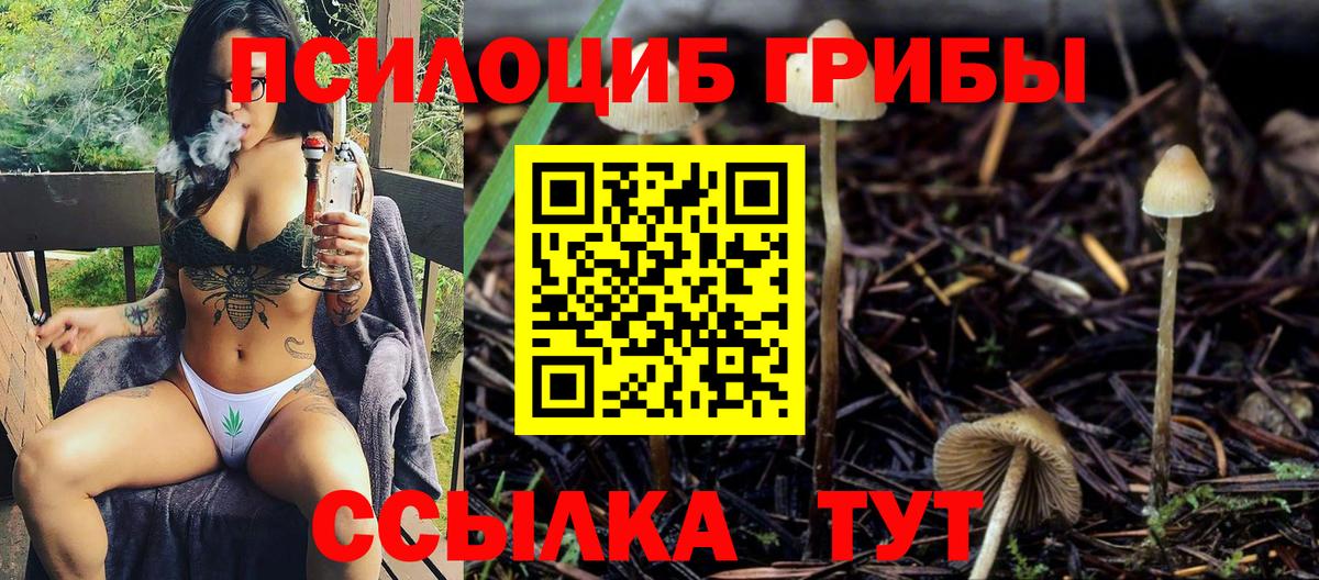 Асбест  Псилоцибиновые грибы Psilocybe  Вход с VPN  Псилоцибиновые грибы Cubensis 